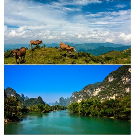 Filtro QZSD CPL profesional multi coated, slim