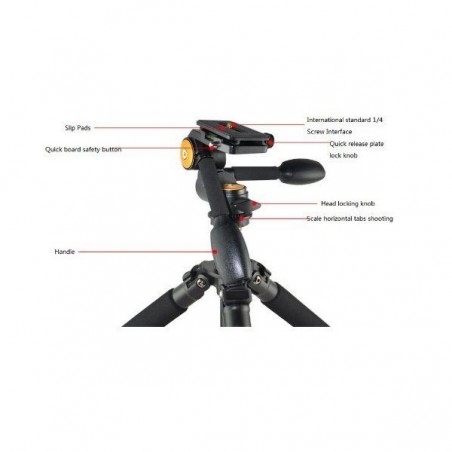 Cabezal fluido de doble manubrio para trípode o monópodo - con quick release - QZSD-80
