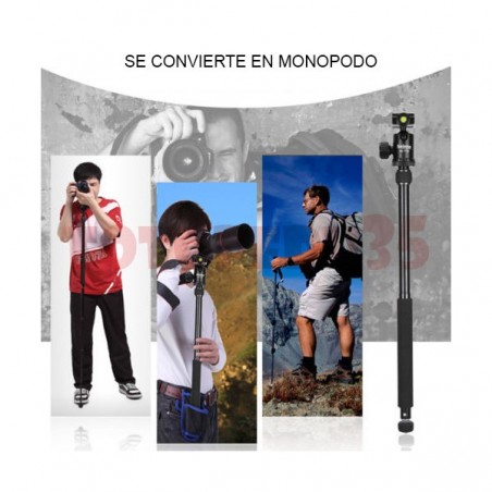 Trípode Selens T-170 para cámaras DSLR incluye cabezal panorámico