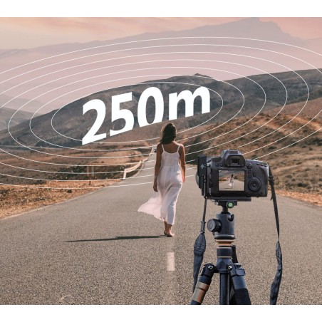 Micrófono inalámbrico LUUCCO ProTalker S2 - Incluye 2 micrófonos, 1 receptor y estuche de carga