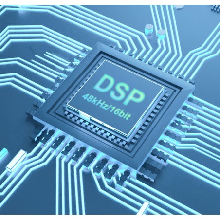 Micrófono inalámbrico LUUCCO ProTalker S2 - Incluye 2 micrófonos, 1 receptor y estuche de carga