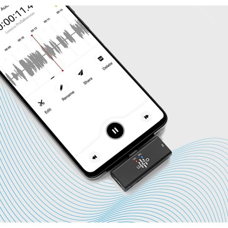 Micrófono inalámbrico LUUCCO ProTalker S2 - Incluye 2 micrófonos, 1 receptor y estuche de carga
